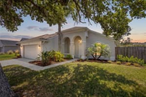 382 FOUNTAINVIEW CIRCLE, OLDSMAR, FL 34677 - MLS#MFRTB8499334