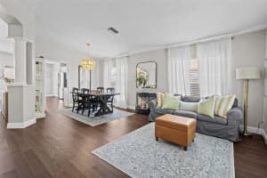 382 FOUNTAINVIEW CIRCLE, OLDSMAR, FL 34677 - MLS#MFRTB8499334