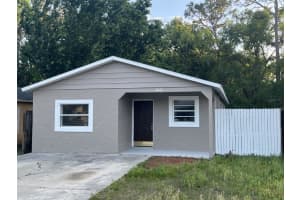 4843 Billy Direct Ln, LUTZ