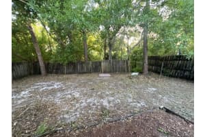 4843 BILLY DIRECT LANE, LUTZ, FL 33559 - MLS#MFRTB8499339