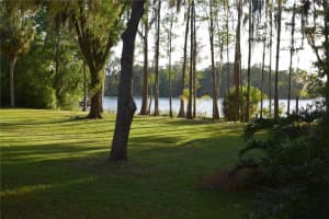 16308 Rock Lake Dr, ODESSA