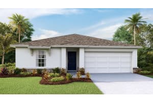 8465 WHEAT STONE DRIVE, ZEPHYRHILLS, FL 33540 - MLS#MFRTB8499412