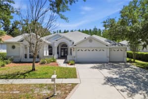 10206 Shadow Branch Dr, TAMPA