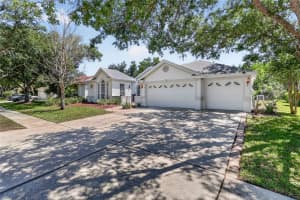 10206 SHADOW BRANCH DRIVE, TAMPA, FL 33647 - MLS#MFRTB8499414