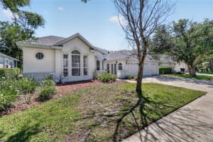 10206 SHADOW BRANCH DRIVE, TAMPA, FL 33647 - MLS#MFRTB8499414
