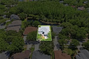 10206 SHADOW BRANCH DRIVE, TAMPA, FL 33647 - MLS#MFRTB8499414