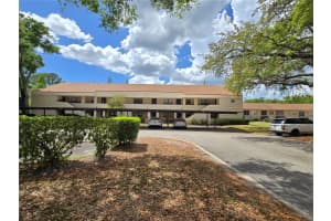 7838 NIAGARA AVENUE, TAMPA, FL 33617 - MLS#MFRTB8499432