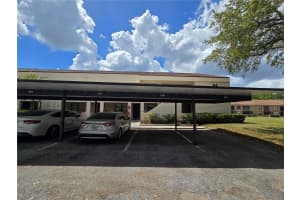 7838 NIAGARA AVENUE, TAMPA, FL 33617 - MLS#MFRTB8499432