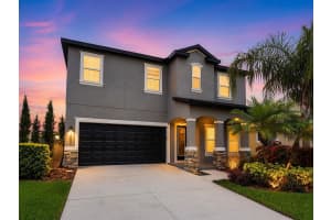 1852 Tallulah Ter, WESLEY CHAPEL
