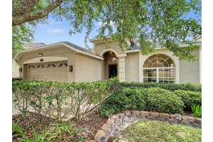10905 Ancient Futures Dr, TAMPA