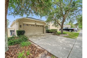10905 ANCIENT FUTURES DRIVE, TAMPA, FL 33647 - MLS#MFRTB8499502