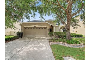 10905 ANCIENT FUTURES DRIVE, TAMPA, FL 33647 - MLS#MFRTB8499502