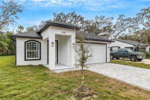 808 W Lowry Ln, TAMPA