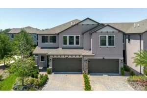 4531 ALMADA LANE, WESLEY CHAPEL, FL 33543 - MLS#MFRTB8499537