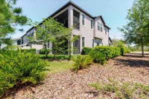 4531 ALMADA LANE, WESLEY CHAPEL, FL 33543 - MLS#MFRTB8499537