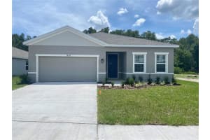 18236 Hunters Meadow Walk, LAND O LAKES