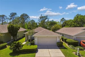 3231 Banyan Hill Ln, LAND O LAKES