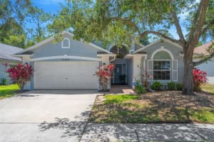 14524 WEEPING ELM DRIVE, TAMPA, FL 33626 - MLS#MFRTB8499548
