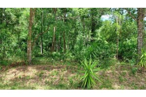 DAVISTA, NEW PORT RICHEY, FL 34654 - MLS#MFRTB8499549