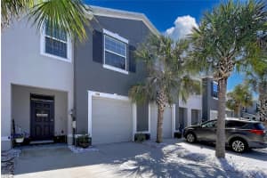 3313 PLEASANT WILLOW COURT, BRANDON, FL 33511 - MLS#MFRTB8499554