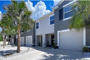 3313 PLEASANT WILLOW COURT, BRANDON, FL 33511 - MLS#MFRTB8499554