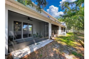 3313 PLEASANT WILLOW COURT, BRANDON, FL 33511 - MLS#MFRTB8499554