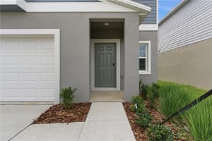 9947 ALLENDALE ST ROAD, WESLEY CHAPEL, FL 33545 - MLS#MFRTB8499560