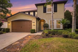 8005 Cypress Crossing Ct, TAMPA