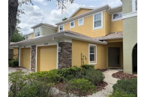 8118 STONE PATH WAY, TAMPA, FL 33647 - MLS#MFRTB8499584