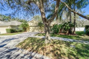 10124 CANNON DRIVE, RIVERVIEW, FL 33578 - MLS#MFRTB8499619