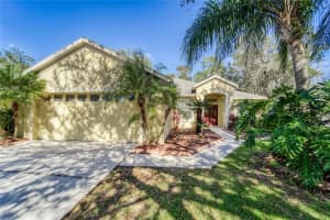 10124 CANNON DRIVE, RIVERVIEW, FL 33578 - MLS#MFRTB8499619