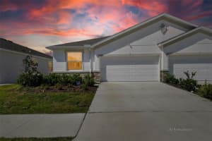 2425 Bending Bonsai Dr, WESLEY CHAPEL