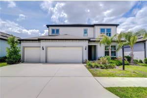 12105 ORCHID ASH STREET, RIVERVIEW, FL 33579 - MLS#MFRTB8499633