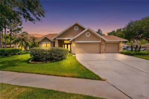 8701 Tantallon Cir, TAMPA