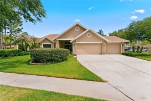 8701 TANTALLON CIRCLE, TAMPA, FL 33647 - MLS#MFRTB8499634
