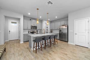 4236 CLOUD HOPPER WAY, LUTZ, FL 33559 - MLS#MFRTB8499640