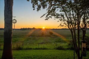 1472 IVYDALE ROAD, SPRING HILL, FL 34606 - MLS#MFRTB8499644