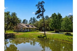 1115 410TH COURT, MYAKKA CITY, FL 34251 - MLS#MFRTB8499646