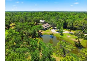 1115 410TH COURT, MYAKKA CITY, FL 34251 - MLS#MFRTB8499646