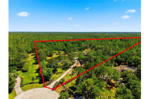 1115 410TH COURT, MYAKKA CITY, FL 34251 - MLS#MFRTB8499646