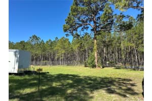 8240 EDGEHILL COURT, CRYSTAL RIVER, FL 34429 - MLS#MFRTB8499666