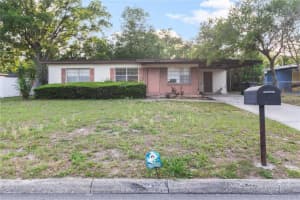 8706 Ednam Pl, TAMPA