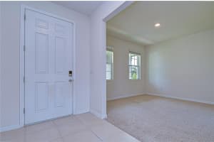 16607 GOOSE RIBBON PLACE, WIMAUMA, FL 33598 - MLS#MFRTB8499692