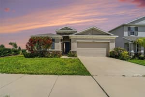 32003 CONCHSHELL SAIL STREET, WESLEY CHAPEL, FL 33545 - MLS#MFRTB8499709