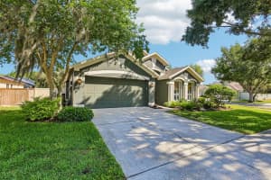 19918 ELLENDALE DRIVE, LAND O LAKES, FL 34638 - MLS#MFRTB8499727