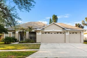 19027 DOVE CREEK DRIVE, TAMPA, FL 33647 - MLS#MFRTB8499729