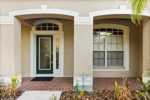 19027 DOVE CREEK DRIVE, TAMPA, FL 33647 - MLS#MFRTB8499729