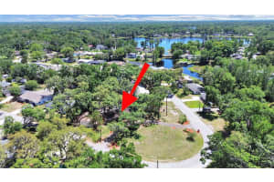 18835 TRACER DRIVE, LUTZ, FL 33549 - MLS#MFRTB8499742