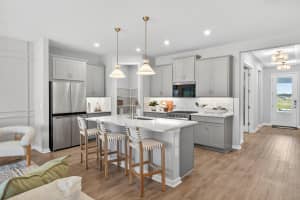 34754 FLOWER PATCH DRIVE, ZEPHYRHILLS, FL 33541 - MLS#MFRTB8499746