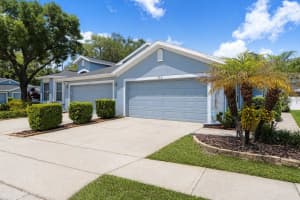 8531 ACORN RIDGE COURT, TAMPA, FL 33625 - MLS#MFRTB8499752